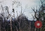 Image of Operation Jeb Stuart III Vietnam, 1968, second 47 stock footage video 65675026533