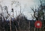Image of Operation Jeb Stuart III Vietnam, 1968, second 48 stock footage video 65675026533