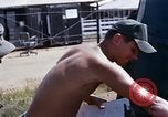 Image of 9th Infantry Division redeployment Vietnam, 1969, second 31 stock footage video 65675026535