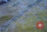 Image of 9th Infantry Division redeployment Vietnam, 1969, second 21 stock footage video 65675026543