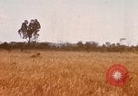 Image of E-158 CS Cluster bombs Vietnam, 1968, second 12 stock footage video 65675026551