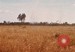 Image of E-158 CS Cluster bombs Vietnam, 1968, second 13 stock footage video 65675026551