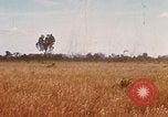 Image of E-158 CS Cluster bombs Vietnam, 1968, second 14 stock footage video 65675026551