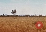 Image of E-158 CS Cluster bombs Vietnam, 1968, second 16 stock footage video 65675026551