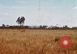 Image of E-158 CS Cluster bombs Vietnam, 1968, second 18 stock footage video 65675026551