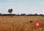 Image of E-158 CS Cluster bombs Vietnam, 1968, second 23 stock footage video 65675026551