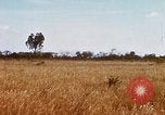 Image of E-158 CS Cluster bombs Vietnam, 1968, second 25 stock footage video 65675026551