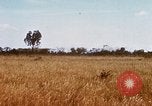 Image of E-158 CS Cluster bombs Vietnam, 1968, second 26 stock footage video 65675026551