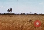 Image of E-158 CS Cluster bombs Vietnam, 1968, second 28 stock footage video 65675026551
