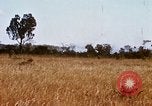 Image of E-158 CS Cluster bombs Vietnam, 1968, second 31 stock footage video 65675026551