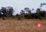 Image of E-158 CS Cluster bombs Vietnam, 1968, second 41 stock footage video 65675026551