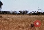 Image of E-158 CS Cluster bombs Vietnam, 1968, second 45 stock footage video 65675026551