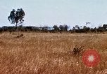 Image of E-158 CS Cluster bombs Vietnam, 1968, second 46 stock footage video 65675026551