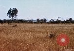 Image of E-158 CS Cluster bombs Vietnam, 1968, second 47 stock footage video 65675026551