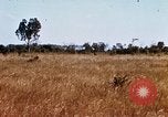 Image of E-158 CS Cluster bombs Vietnam, 1968, second 48 stock footage video 65675026551