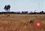 Image of E-158 CS Cluster bombs Vietnam, 1968, second 49 stock footage video 65675026551