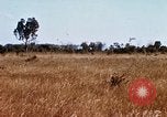 Image of E-158 CS Cluster bombs Vietnam, 1968, second 50 stock footage video 65675026551