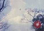 Standbild Operation Junction City Vietnam, 1967, aus Sekunde 11 historischem Filmmaterial Videoclip 65675026564