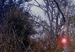 Standbild Operation Junction City Vietnam, 1967, aus Sekunde 17 historischem Filmmaterial Videoclip 65675026564