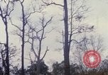 Standbild Operation Junction City Vietnam, 1967, aus Sekunde 46 historischem Filmmaterial Videoclip 65675026564