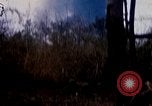 Standbild Operation Junction City Vietnam, 1967, aus Sekunde 52 historischem Filmmaterial Videoclip 65675026564