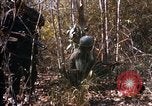 Standbild Operation Junction City Vietnam, 1967, aus Sekunde 8 historischem Filmmaterial Videoclip 65675026569