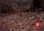 Standbild Operation Junction City Vietnam, 1967, aus Sekunde 51 historischem Filmmaterial Videoclip 65675026570