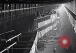 Image of Ford boat Michigan United States USA, 1918, second 18 stock footage video 65675026579