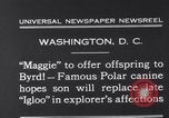 Image polar chienne canin Washington DC USA, 1931, de la seconde 7 séquences d'archives historiques vidéo 65675026602
