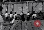 Image polar chienne canin Washington DC USA, 1931, de la seconde 22 séquences d'archives historiques vidéo 65675026602