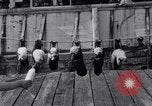 Image polar chienne canin Washington DC USA, 1931, de la seconde 24 séquences d'archives historiques vidéo 65675026602