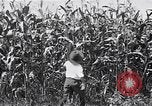 Image Farm boys United States USA, 1920, de la seconde 11 séquences d'archives historiques vidéo 65675026608