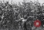 Image Farm boys United States USA, 1920, de la seconde 13 séquences d'archives historiques vidéo 65675026608