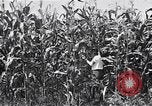 Image Farm boys United States USA, 1920, de la seconde 17 séquences d'archives historiques vidéo 65675026608