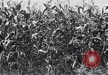 Image Farm boys United States USA, 1920, de la seconde 21 séquences d'archives historiques vidéo 65675026608