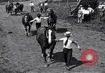 Image Farm boys United States USA, 1920, de la seconde 36 séquences d'archives historiques vidéo 65675026608