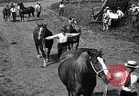 Image Farm boys United States USA, 1920, de la seconde 38 séquences d'archives historiques vidéo 65675026608