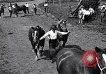 Image Farm boys United States USA, 1920, de la seconde 39 séquences d'archives historiques vidéo 65675026608