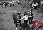 Image Farm boys United States USA, 1920, de la seconde 40 séquences d'archives historiques vidéo 65675026608