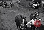 Image Farm boys United States USA, 1920, de la seconde 41 séquences d'archives historiques vidéo 65675026608