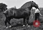 Image Farm boys United States USA, 1920, de la seconde 44 séquences d'archives historiques vidéo 65675026608