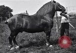 Image Farm boys United States USA, 1920, de la seconde 45 séquences d'archives historiques vidéo 65675026608