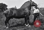 Image Farm boys United States USA, 1920, de la seconde 46 séquences d'archives historiques vidéo 65675026608