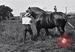 Image Farm boys United States USA, 1920, de la seconde 49 séquences d'archives historiques vidéo 65675026608