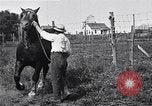 Image Farm boys United States USA, 1920, de la seconde 51 séquences d'archives historiques vidéo 65675026608