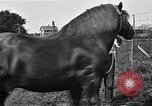 Image Farm boys United States USA, 1920, de la seconde 54 séquences d'archives historiques vidéo 65675026608