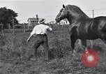 Image Farm boys United States USA, 1920, de la seconde 57 séquences d'archives historiques vidéo 65675026608