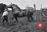 Image Farm boys United States USA, 1920, de la seconde 58 séquences d'archives historiques vidéo 65675026608