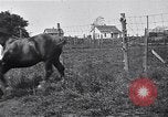 Image Farm boys United States USA, 1920, de la seconde 59 séquences d'archives historiques vidéo 65675026608