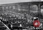 Image Les garçons de ferme Texas Stockyards Chicago visite United States USA, 1920, de la seconde 14 séquences d'archives historiques vidéo 65675026609